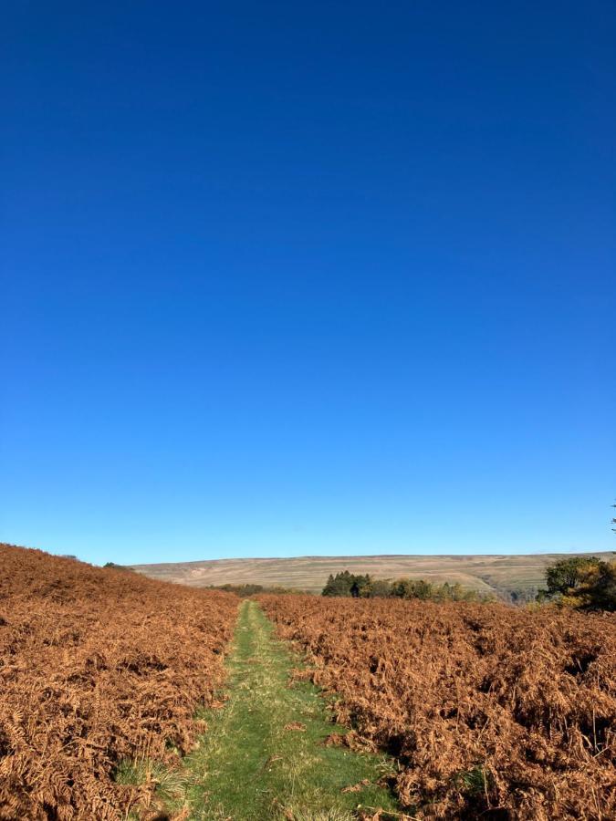 Buckden The Snug At Greystones公寓 外观 照片